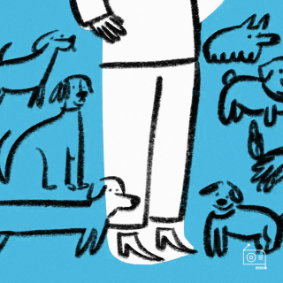 「月月轻松」救助流浪狗，到哪一步该收手？| EP237