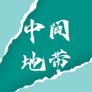 118 西线有战事：和余戈谈滇缅战场