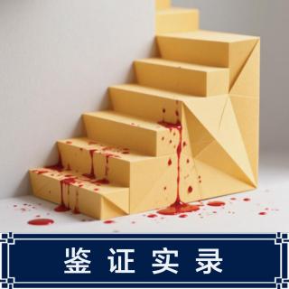 210.意大利楼梯悬案