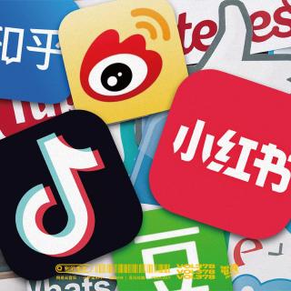 Vol.378 迟到的社交媒体大观察