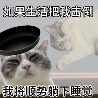 vol.69 卷不动又躺不平？是什么让年轻人过上了"仰卧起坐"人生?