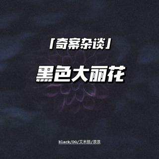 黑色大丽花：消失的父亲与破碎的明星梦【奇案杂谈41】