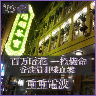 E39.百万暗花 一枪毙命：香港陆羽喋血案