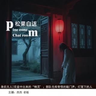 138.身后无人|花盆中出现的诡异“精灵”；部队仓库奇怪敲门声；灯笼下的人