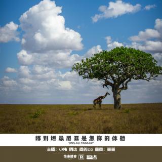 824.嫁到坦桑尼亚是怎样的体验