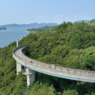 海外骑行感性评测：日本濑户内海岛波海道VS韩国济州岛环岛 feat.骑遇记