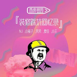VOL388.装修踩坑回忆录｜为了花这20W我真的尽力了