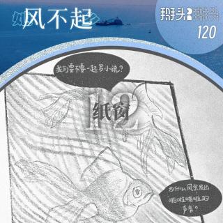 120：【她乡风不起】12 纸窗