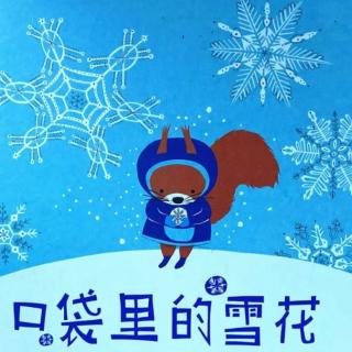 口袋里的雪花——睡前故事