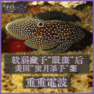 E40.软弱藏于“眼斑”后：美国“蜜月杀手”案
