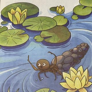 2949《鼹鼠的一天》之《石蚕的“潜水艇”》