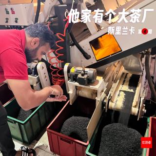 246 |斯里兰卡| 他家有个大茶厂 - 末代王朝、豹子、破产和科伦坡的秩序