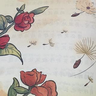 2954《鼹鼠的一天》之《种子的奇妙旅行》
