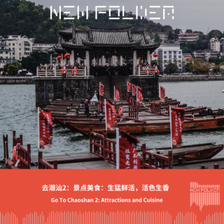 E289：去潮汕2：景点美食：生猛鲜活，活色生香