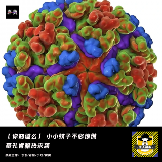 基孔肯雅热来袭，又不是登革热，小小蚊子不必惊慌丨你知道么