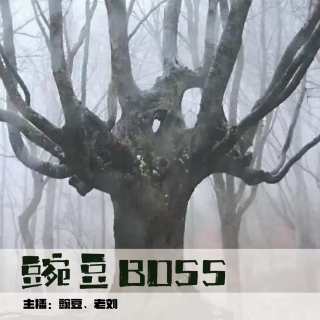 【灵异】树精 老板的秘密 杀飘