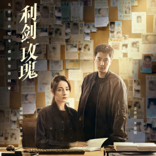 No.174 《利剑·玫瑰》：现实打拐事件拼凑还原，每一部分都做的还行，但每一部分都做的还不够