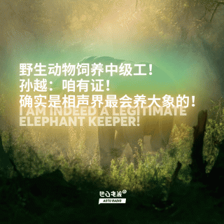 野生动物饲养中级工！孙越：咱有证！确实是相声界最会养大象的！