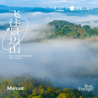 午夜飞行 Vol.163 早上逛茶山喝咖啡，夜游雨林植物园：在景迈「由我选择」