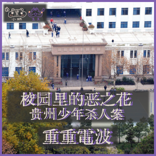 E43.校园里的恶之花：贵州少年杀人案