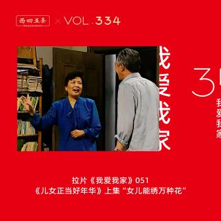 334 拉片我爱我家|51《儿女正当好年华》上集“女儿能绣万种花”