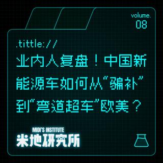 vol.08 业内人复盘！中国新能源车如何从“骗补”到“弯道超车”欧美？