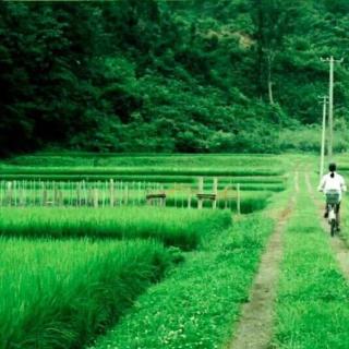 Vol.47 夏天的饮食回忆：田鸡、毛豆、咸鸭蛋与我们的童年