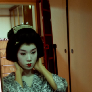 友投稿系列之电视里的艺妓