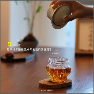 【vol.314】结束18年婚姻后，中年的我们又遇到了“天命crush”|情感收