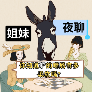 姐妹夜聊|你知道驴的嘴唇有多柔软吗？高铁女生为什么会把行李放下面