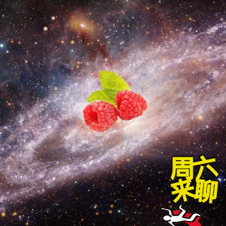 柒拾叁 - 宇宙，蟑螂，和猴子