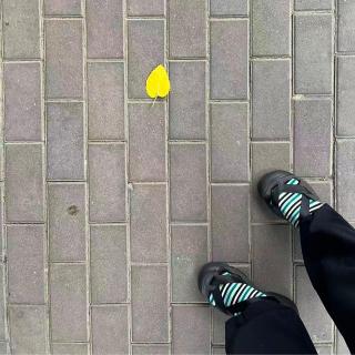 【发呆很好】心情小记 Vol.22. 爱是...