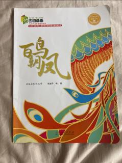 《百鸟朝凤》张兰园长