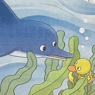 睡前故事2993《南瓜镇南瓜街南瓜公寓》之《小海豚和小黄鸭》