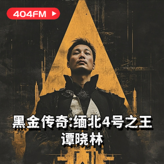 404FM失踪调频X荔枝播客会客厅：黑金传奇：缅北4号之王谭晓林 VOL53