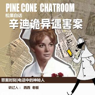 146.罪案时刻|诡异人来电：辛迪诡异被害案