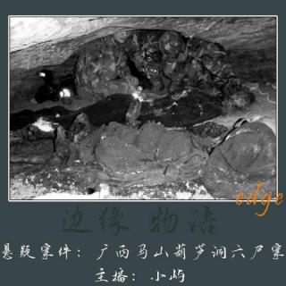 46.梅花图的诅咒：广西马山葫芦洞六尸案