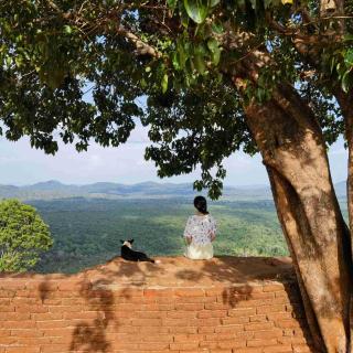 EP12国庆特辑|在微笑国度斯里兰卡，会开启怎样的野生之旅？【上】