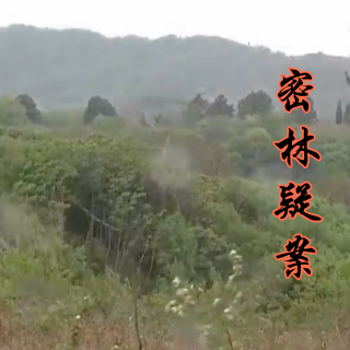 E83 密林深处：京山市双尸疑案