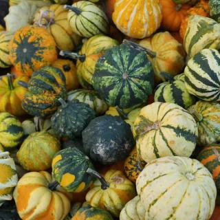 vol 63 要付出多少，才能吃到好的食物？