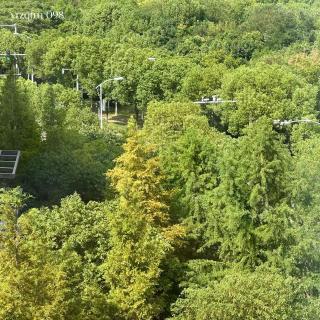 098 那些初入社会的创伤，怎么不算是种生长痛