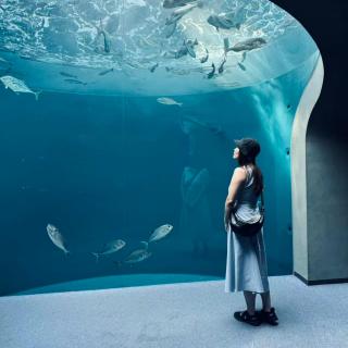 079. 北大Vivi｜「穷游」教会我：在“玩”这个赛道，一定要赛高