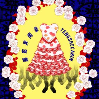 EP-66 澳洲日记 / 西雅图的那只手跟回来了 / 发芽的礼服