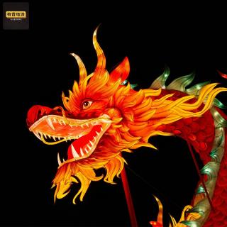 看不见的客人、秘兽逆云而行、河北沧州云中囚龙、茅山道士斗龙、走近科学【三女过河】