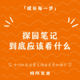 探园笔记2.0：给孩子挑选的第一个‘小社会’，既要保有安全感，也要装得下好