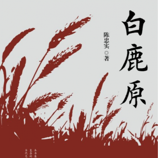 读书 | 《白鹿原》：时代在剧变，他们被推着走跟着生活流