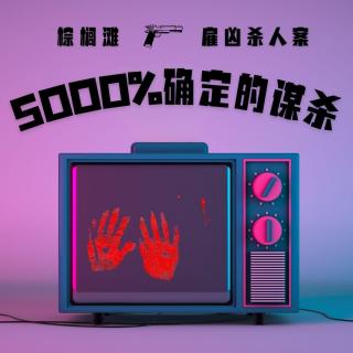 E85 5000%确定的谋杀：棕榈滩雇凶杀人案