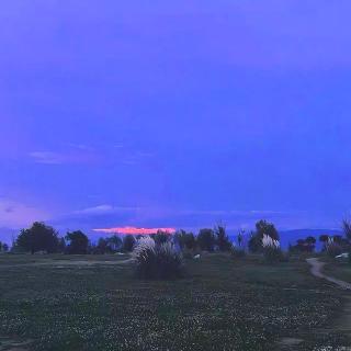 Vol.82 大理州逛吃逛吃