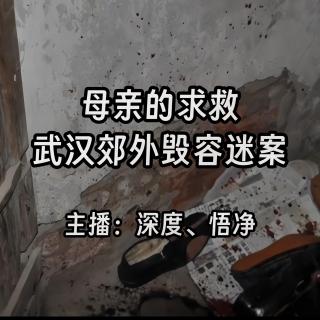 45.母亲的求救：武汉郊外毁容迷案