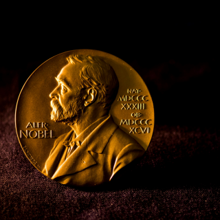 诺奖也会不靠谱？免疫细胞怎么思考哲学终极难题？| 读懂2025诺奖